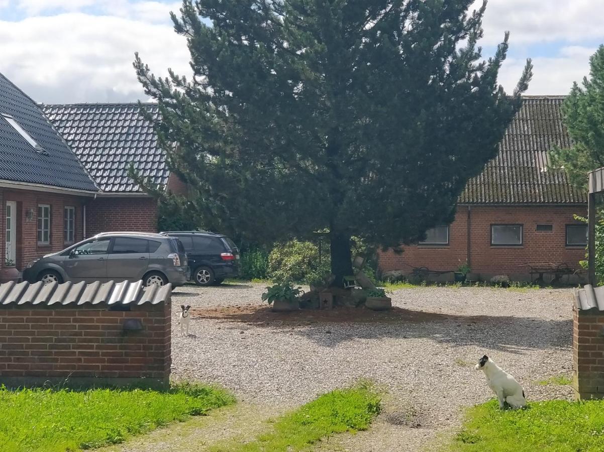 Apartament Kristinebjerg Jelling Zewnętrze zdjęcie
